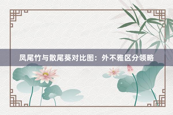 凤尾竹与散尾葵对比图：外不雅区分领略
